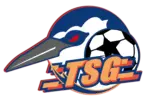 Taipei Star Geese 台北星雁足球俱樂部標誌